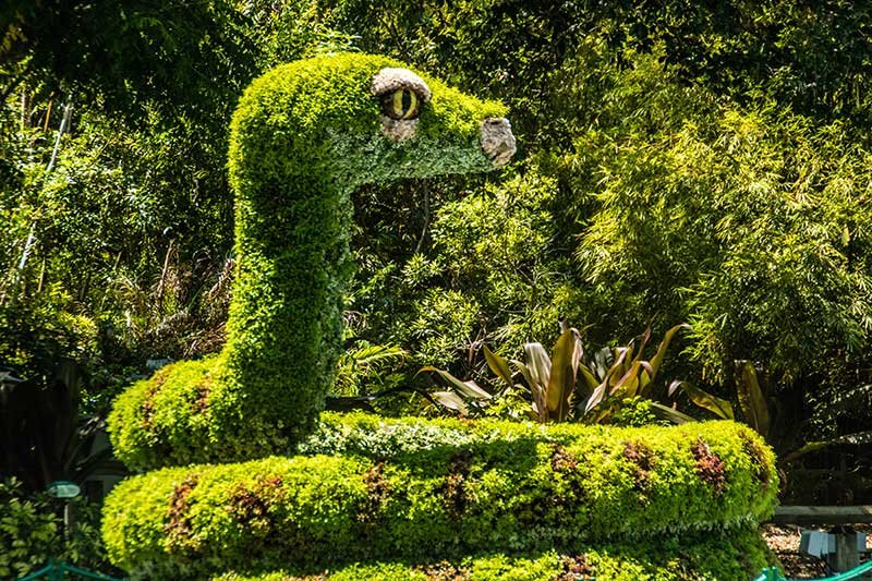 Busch Gardens Florida snake topiary