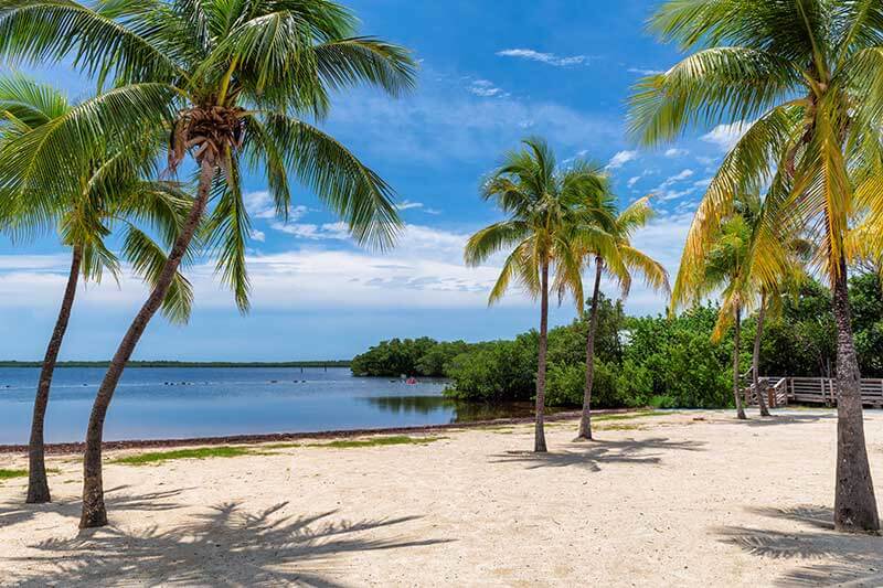 Beautiful Florida sugar sand beach framed by palm trees