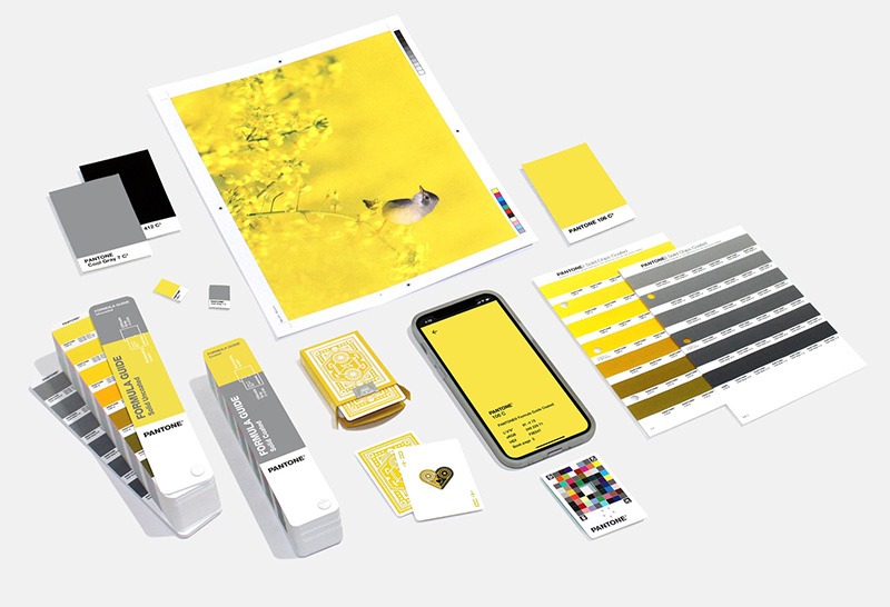 Pantone chose two colors for 2021, gray and illuminating yellow for home design